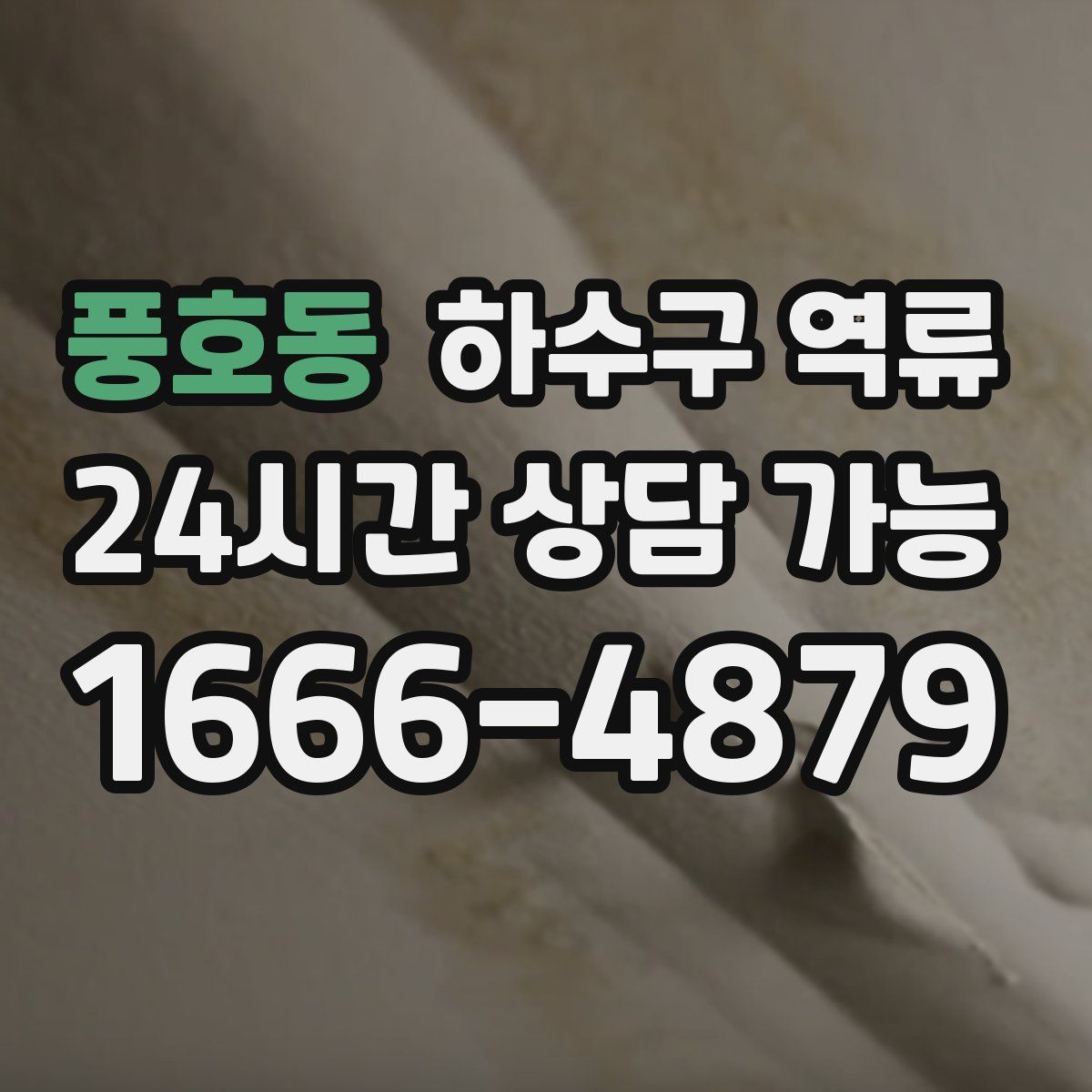 풍호동 하수구 역류