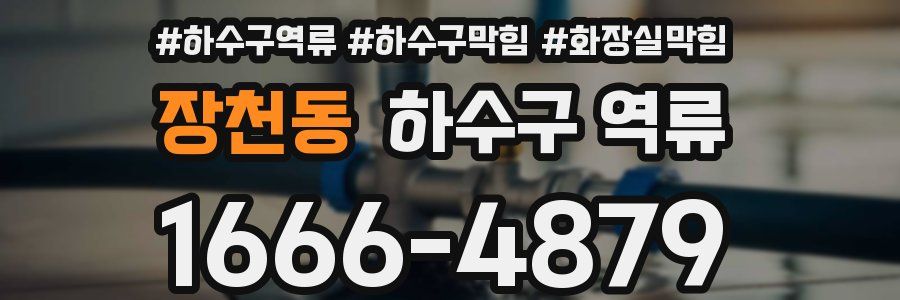 장천동 하수구 역류