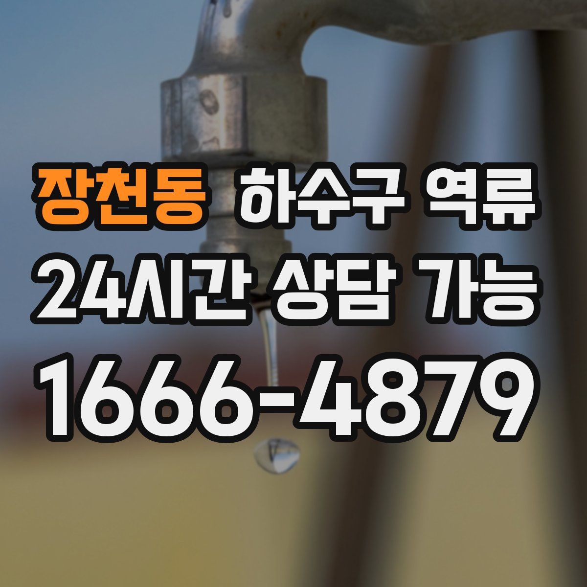 장천동 하수구 역류