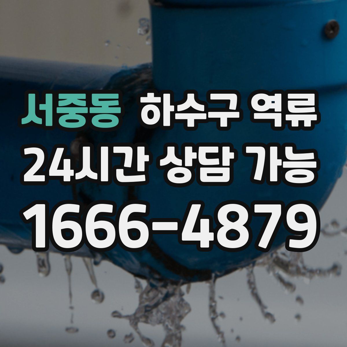 서중동 하수구 역류