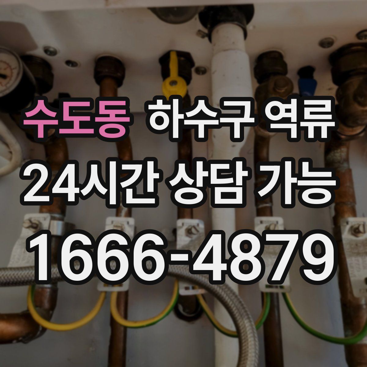 수도동 하수구 역류