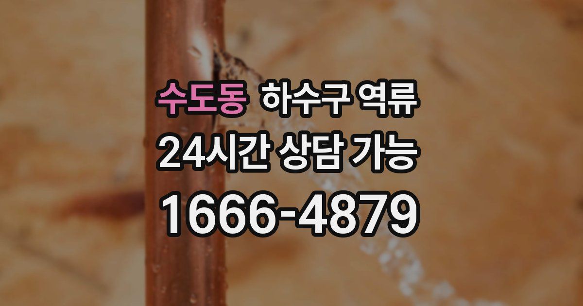 수도동 하수구 역류