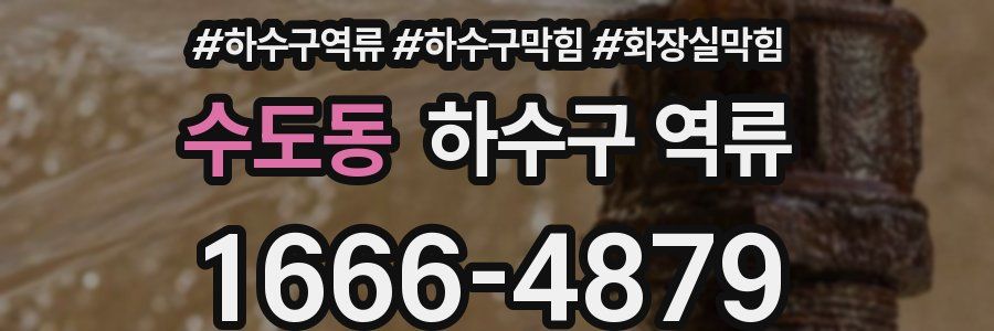 수도동 하수구 역류