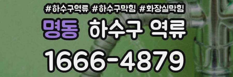 명동 하수구 역류