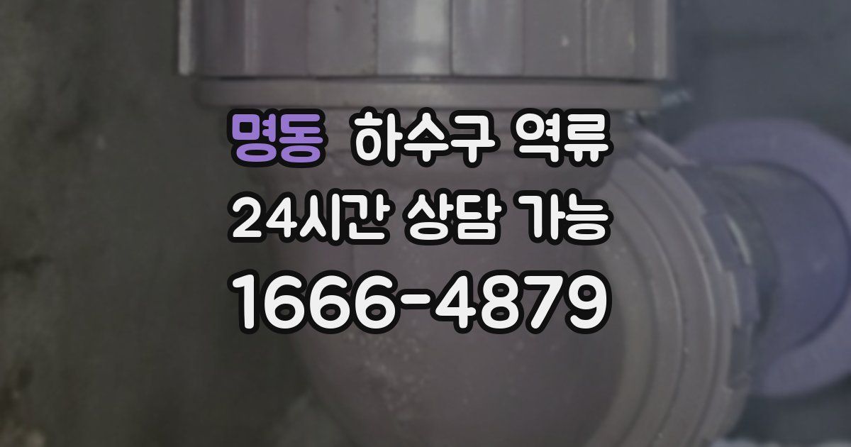 명동 하수구 역류