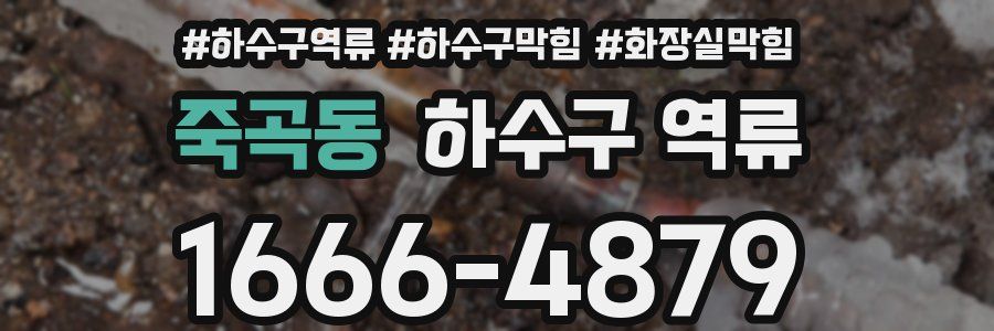 죽곡동 하수구 역류