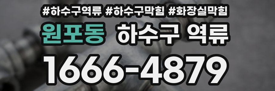 원포동 하수구 역류