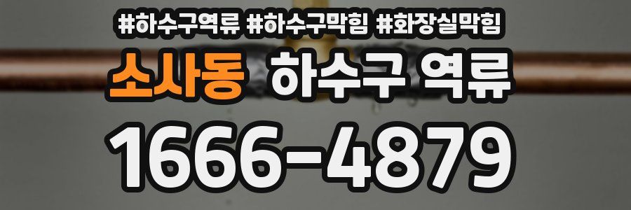 소사동 하수구 역류