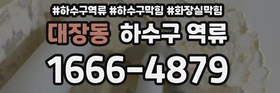 대장동 하수구 역류