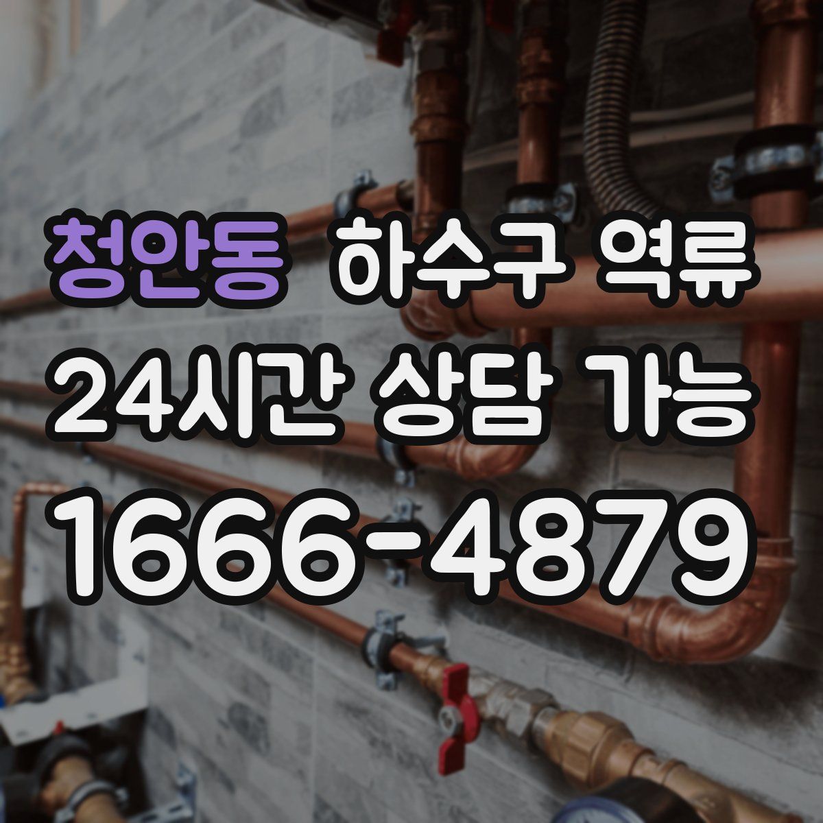 청안동 하수구 역류