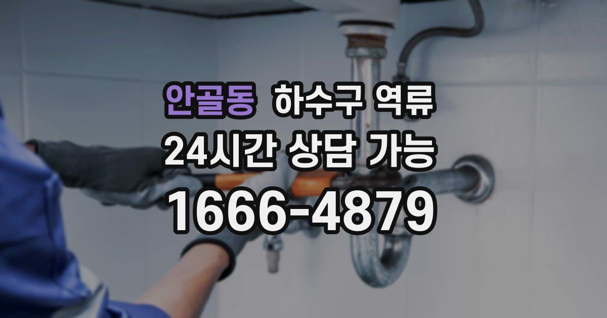 안골동 하수구 역류