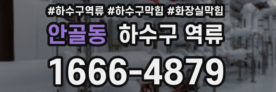 안골동 하수구 역류