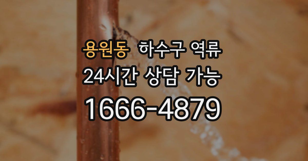 용원동 하수구 역류