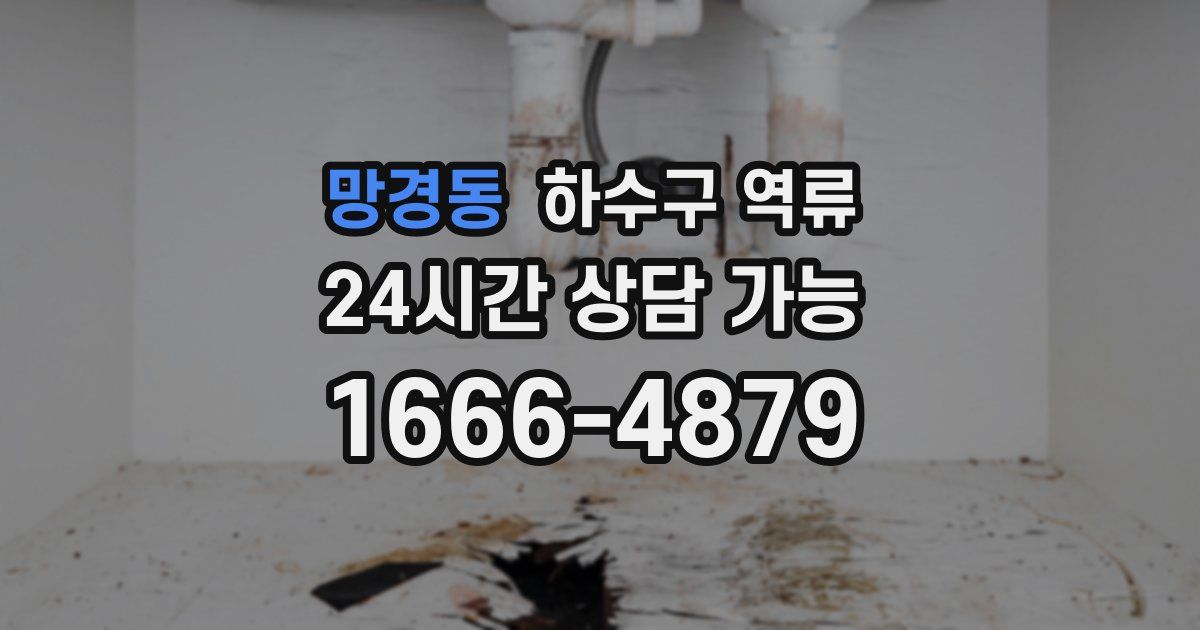 망경동 하수구 역류