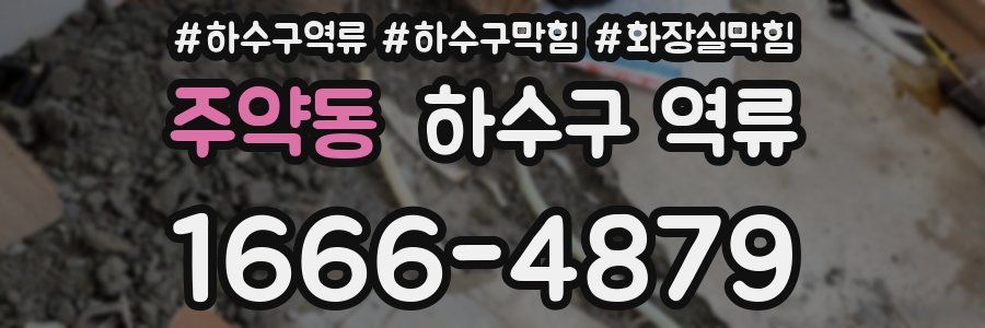 주약동 하수구 역류