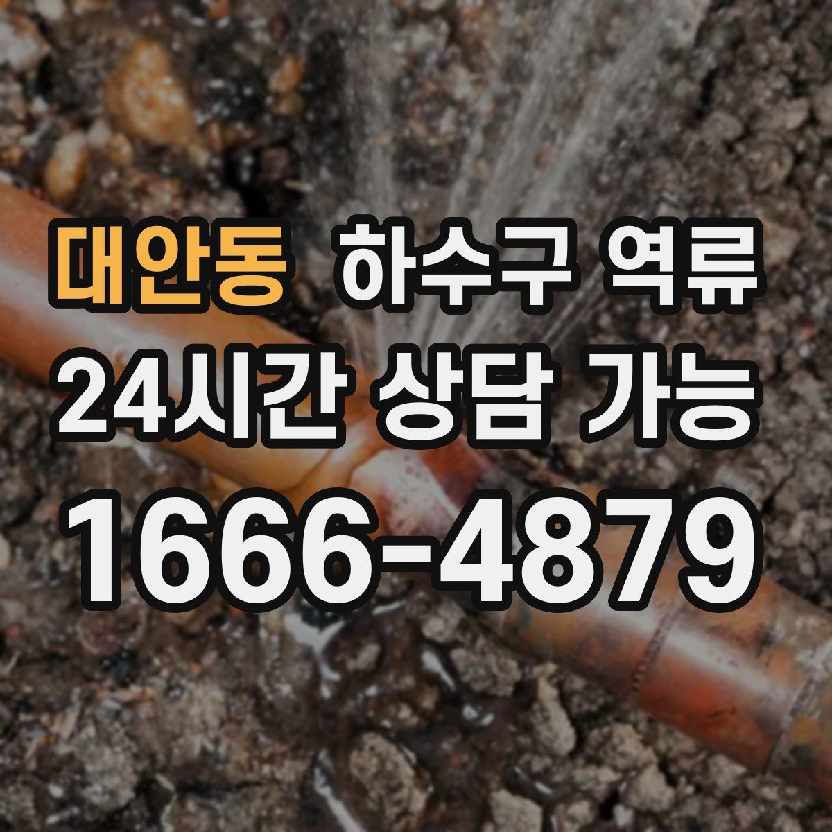 대안동 하수구 역류