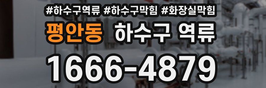 평안동 하수구 역류