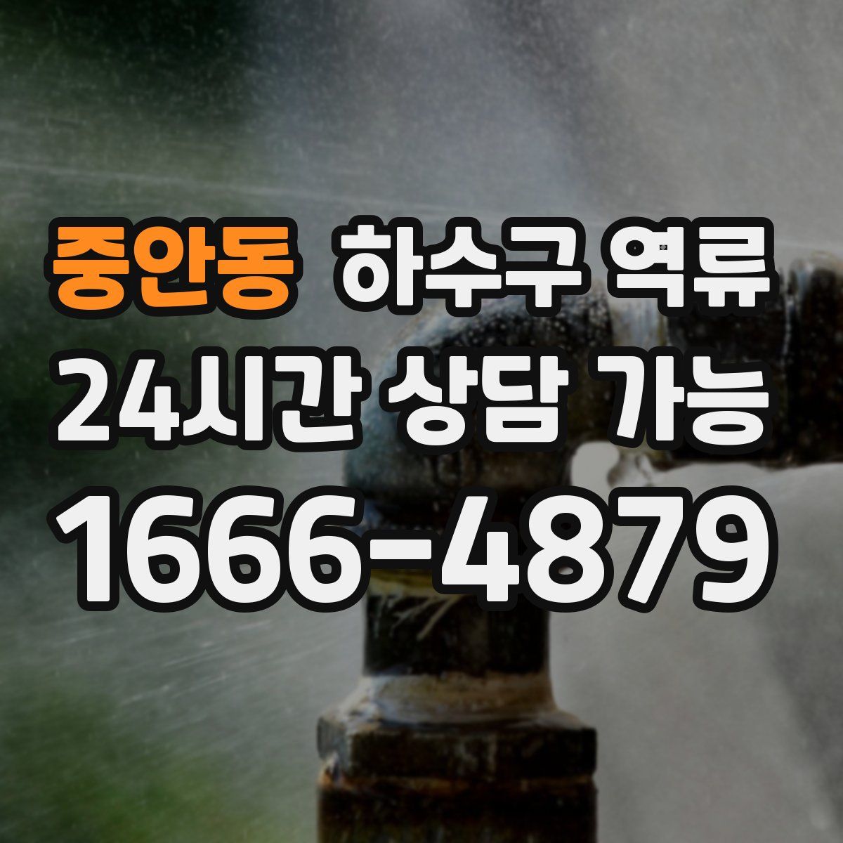 중안동 하수구 역류