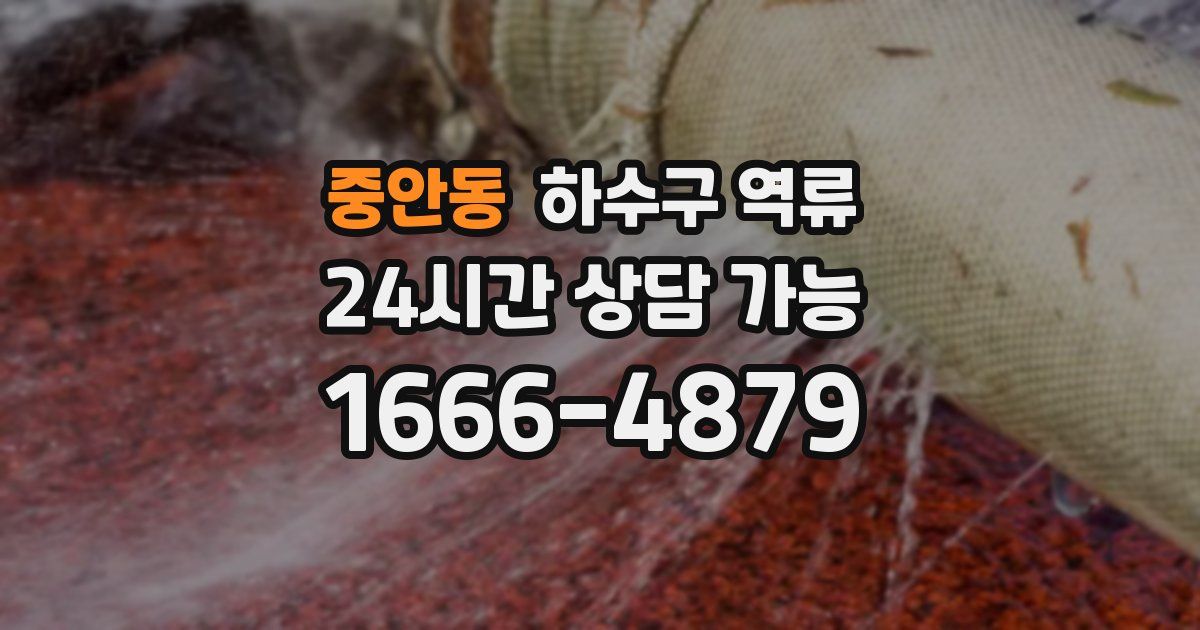 중안동 하수구 역류