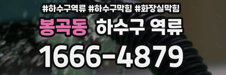 봉곡동 하수구 역류