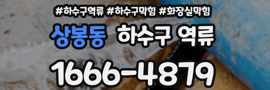 상봉동 하수구 역류