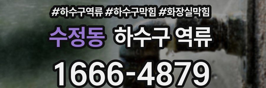 수정동 하수구 역류