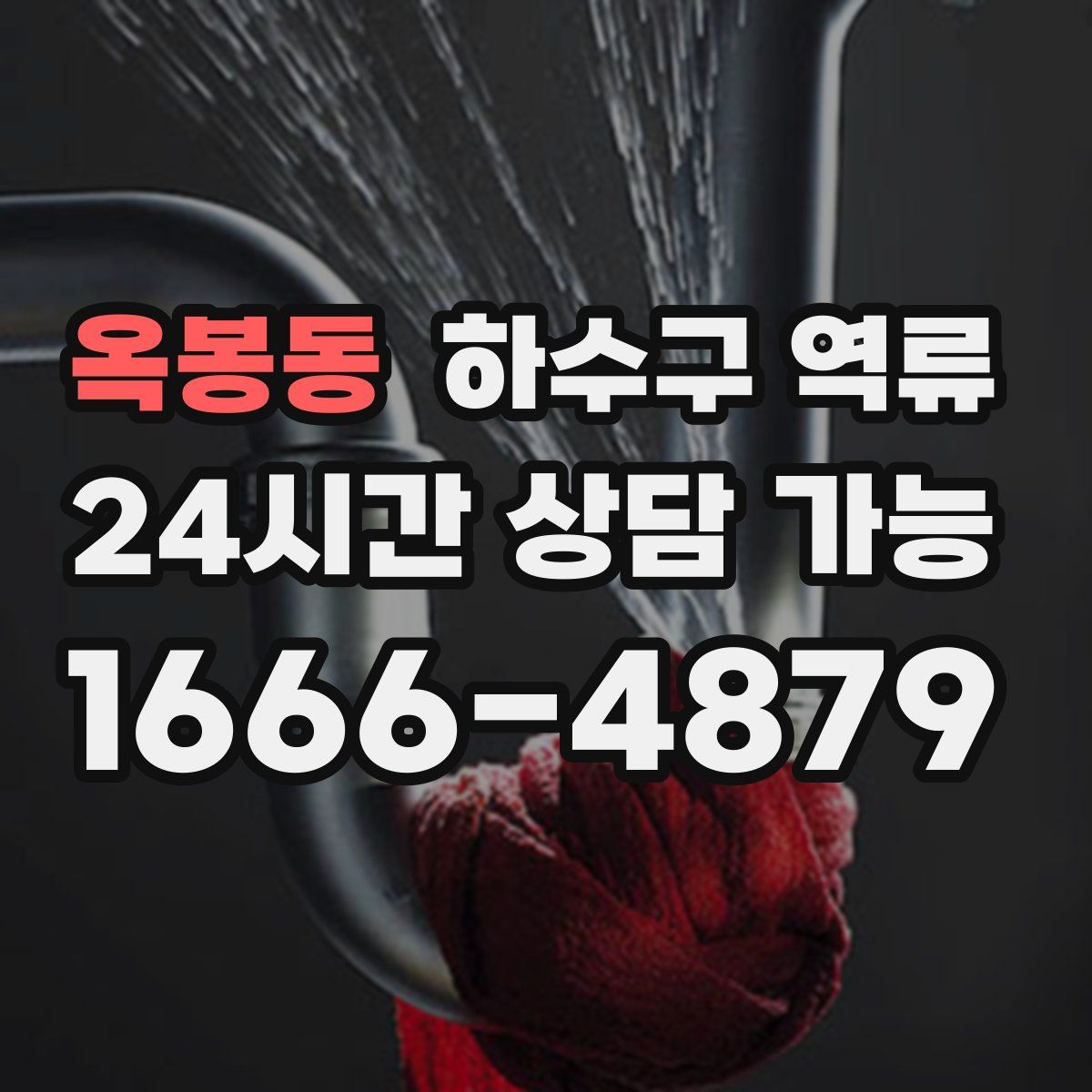 옥봉동 하수구 역류