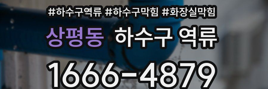 상평동 하수구 역류