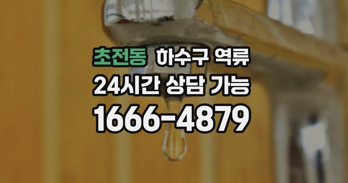 초전동 하수구 역류