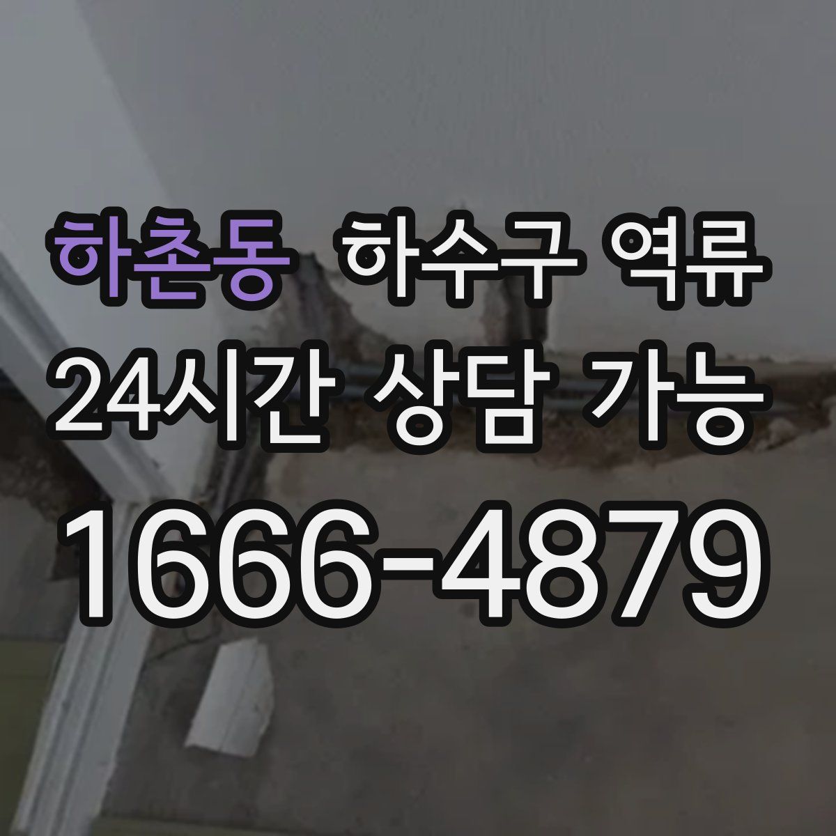 하촌동 하수구 역류