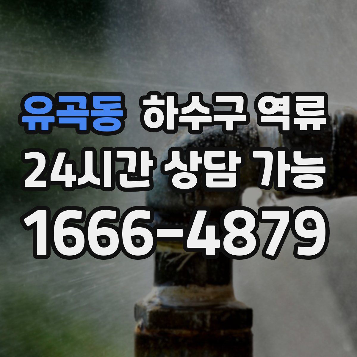 유곡동 하수구 역류