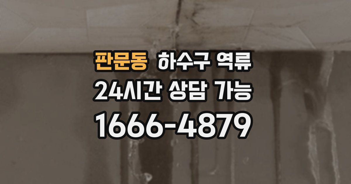 판문동 하수구 역류