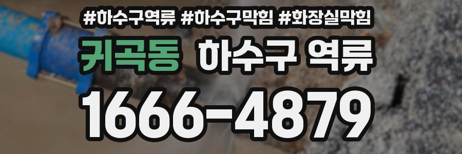 귀곡동 하수구 역류