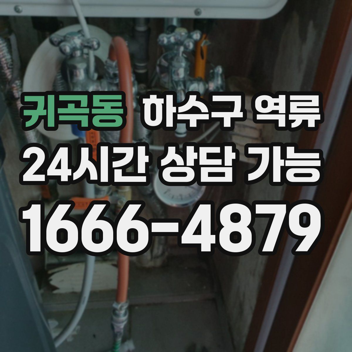 귀곡동 하수구 역류