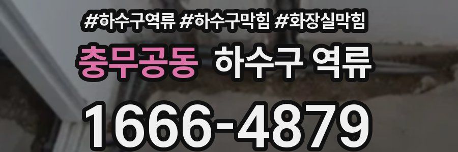 충무공동 하수구 역류