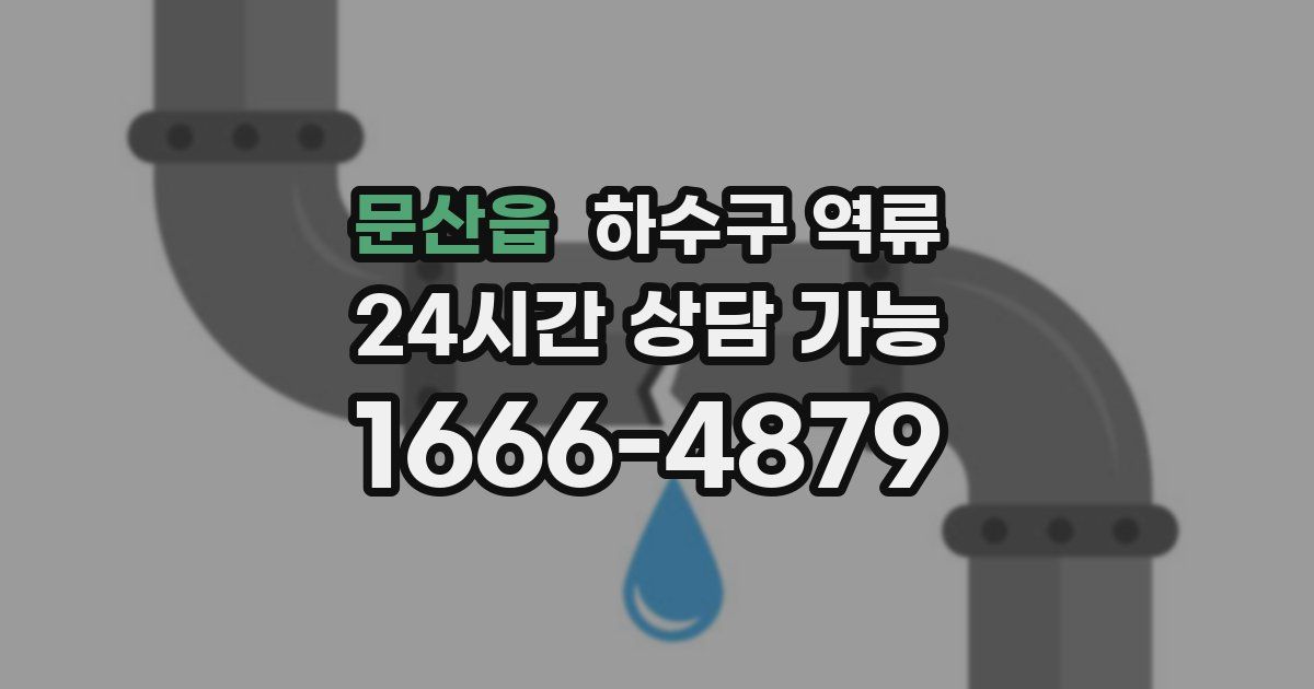 문산읍 하수구 역류