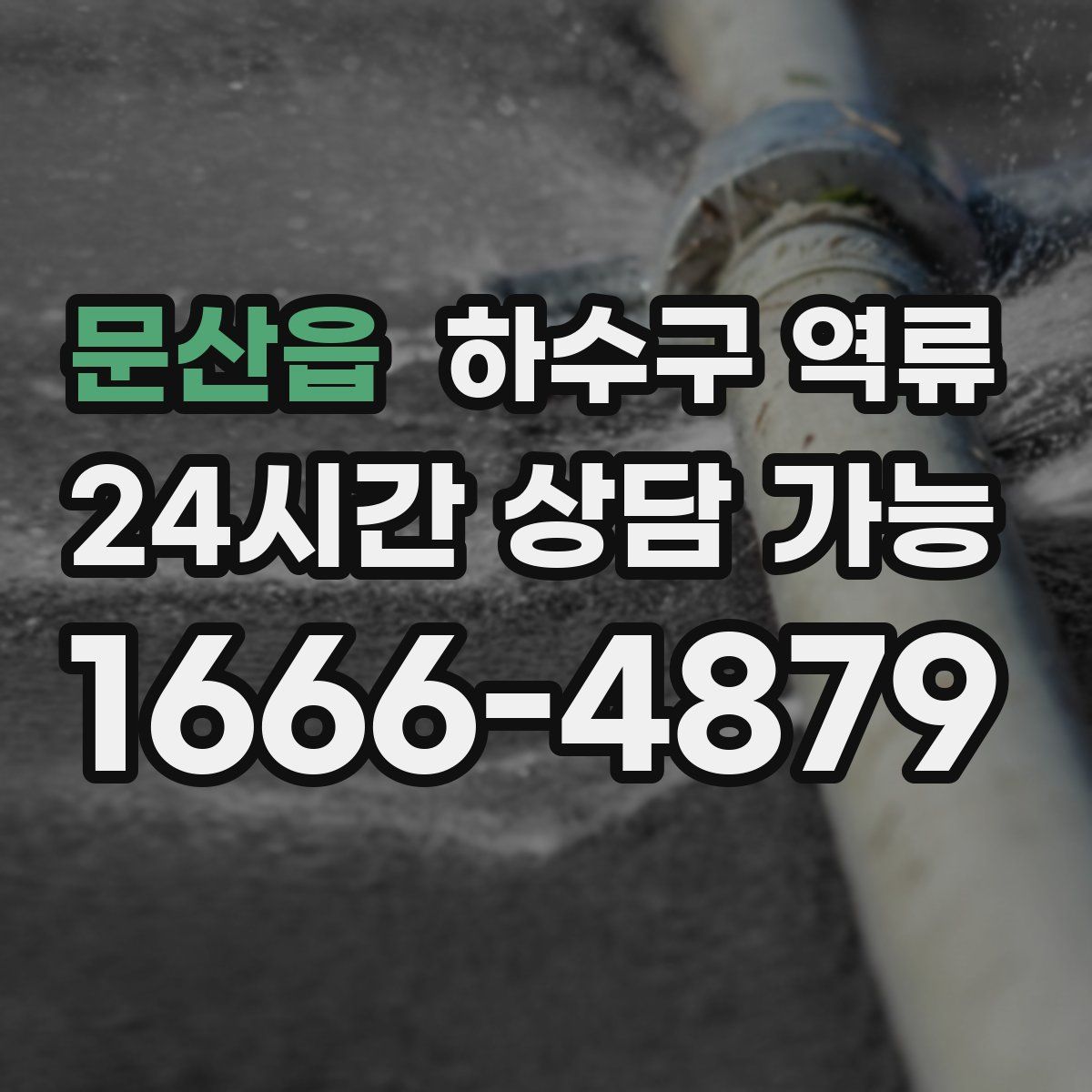 문산읍 하수구 역류