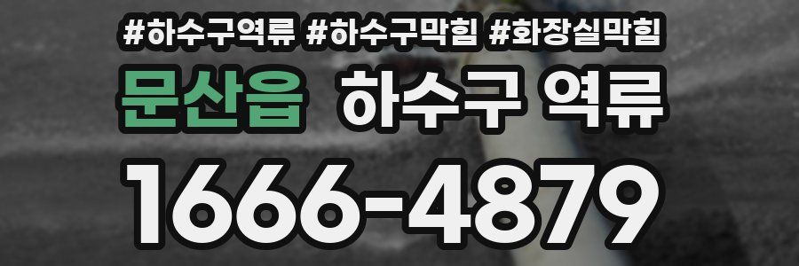 문산읍 하수구 역류