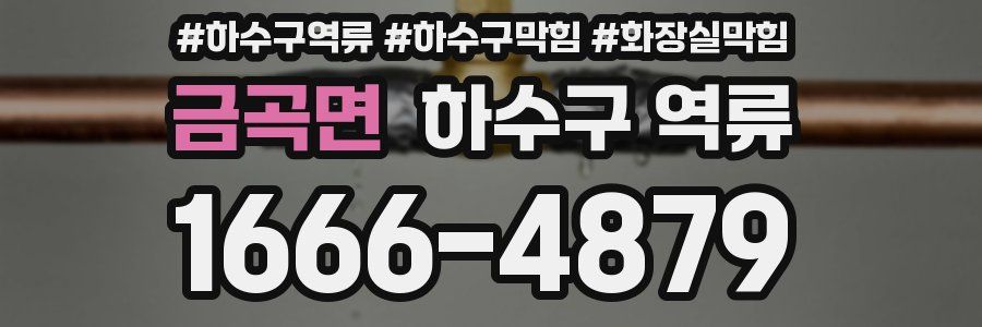 금곡면 하수구 역류