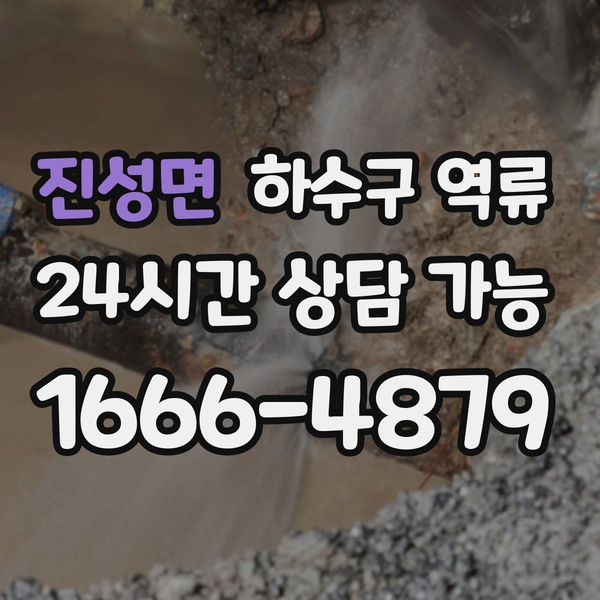 진성면 하수구 역류