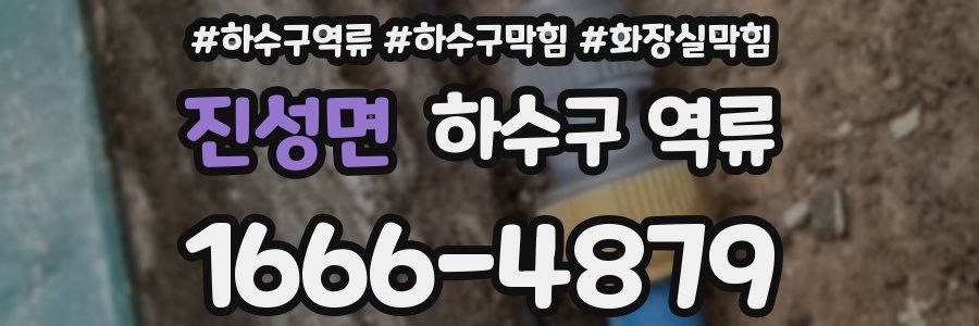 진성면 하수구 역류