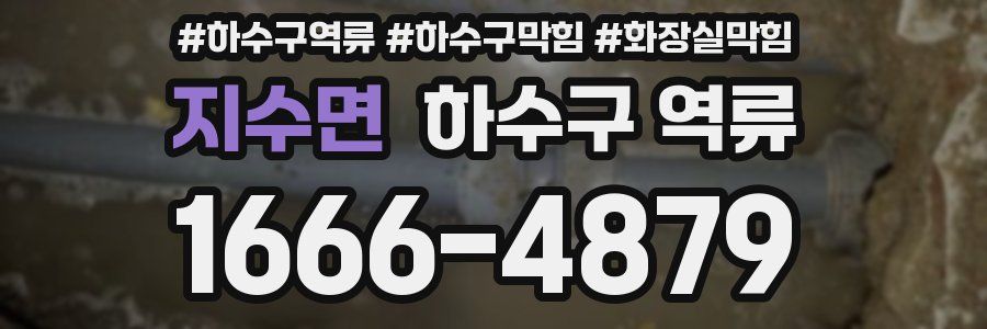 지수면 하수구 역류