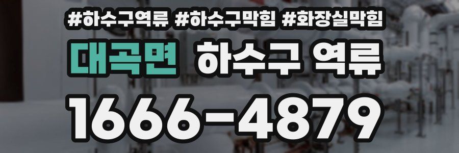 대곡면 하수구 역류