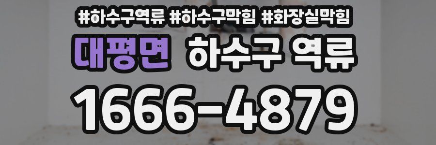 대평면 하수구 역류