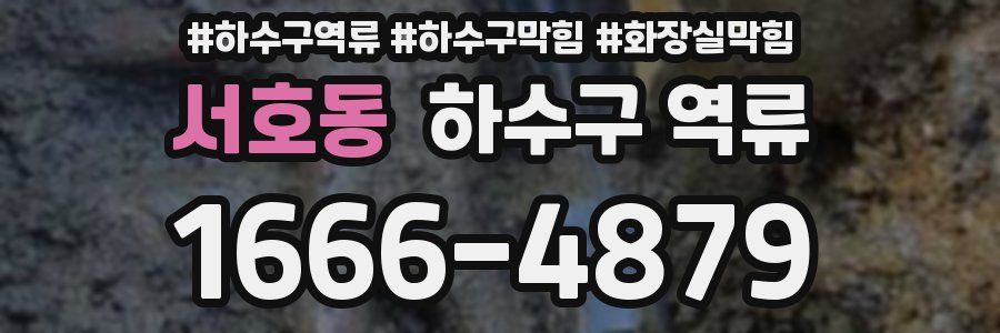 서호동 하수구 역류