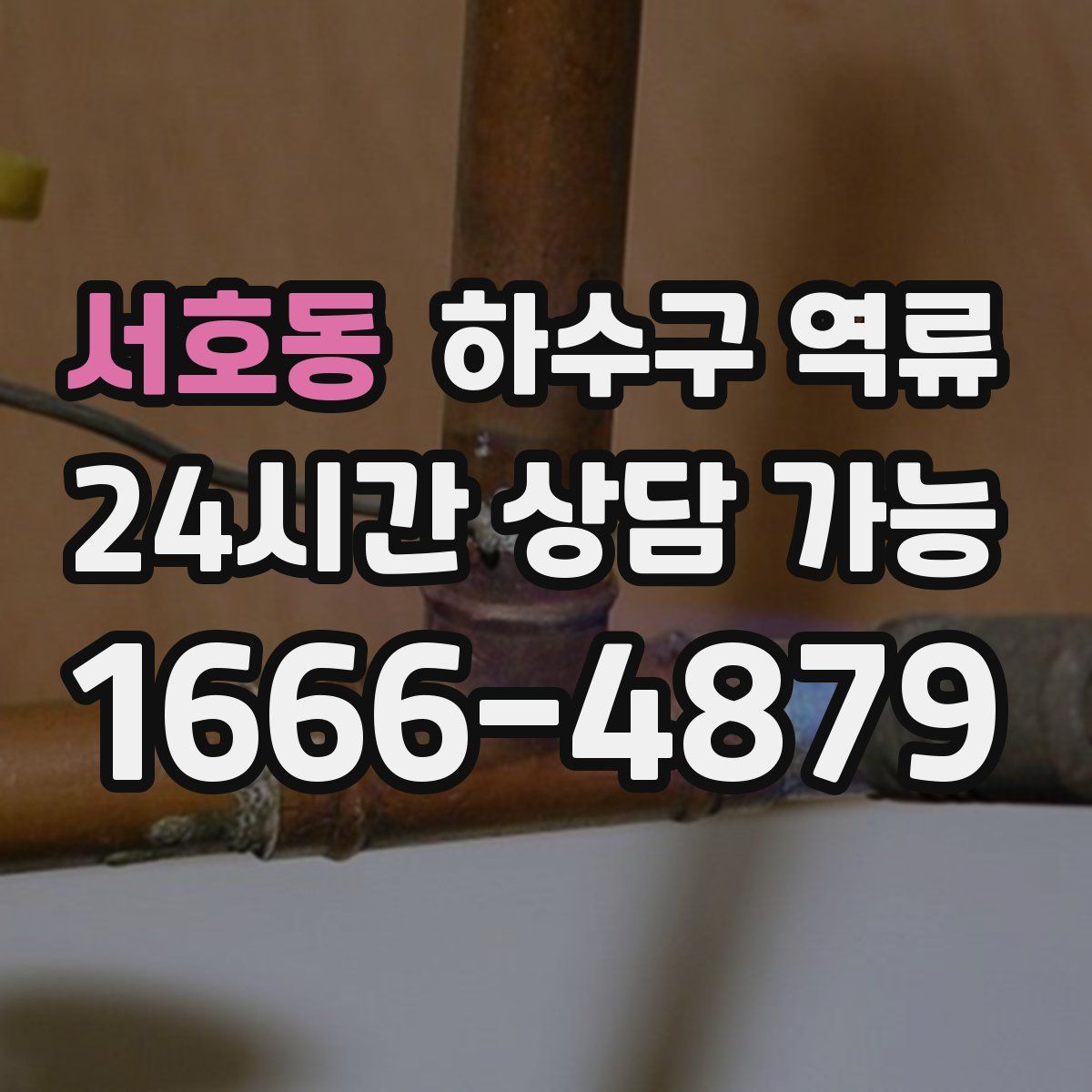 서호동 하수구 역류