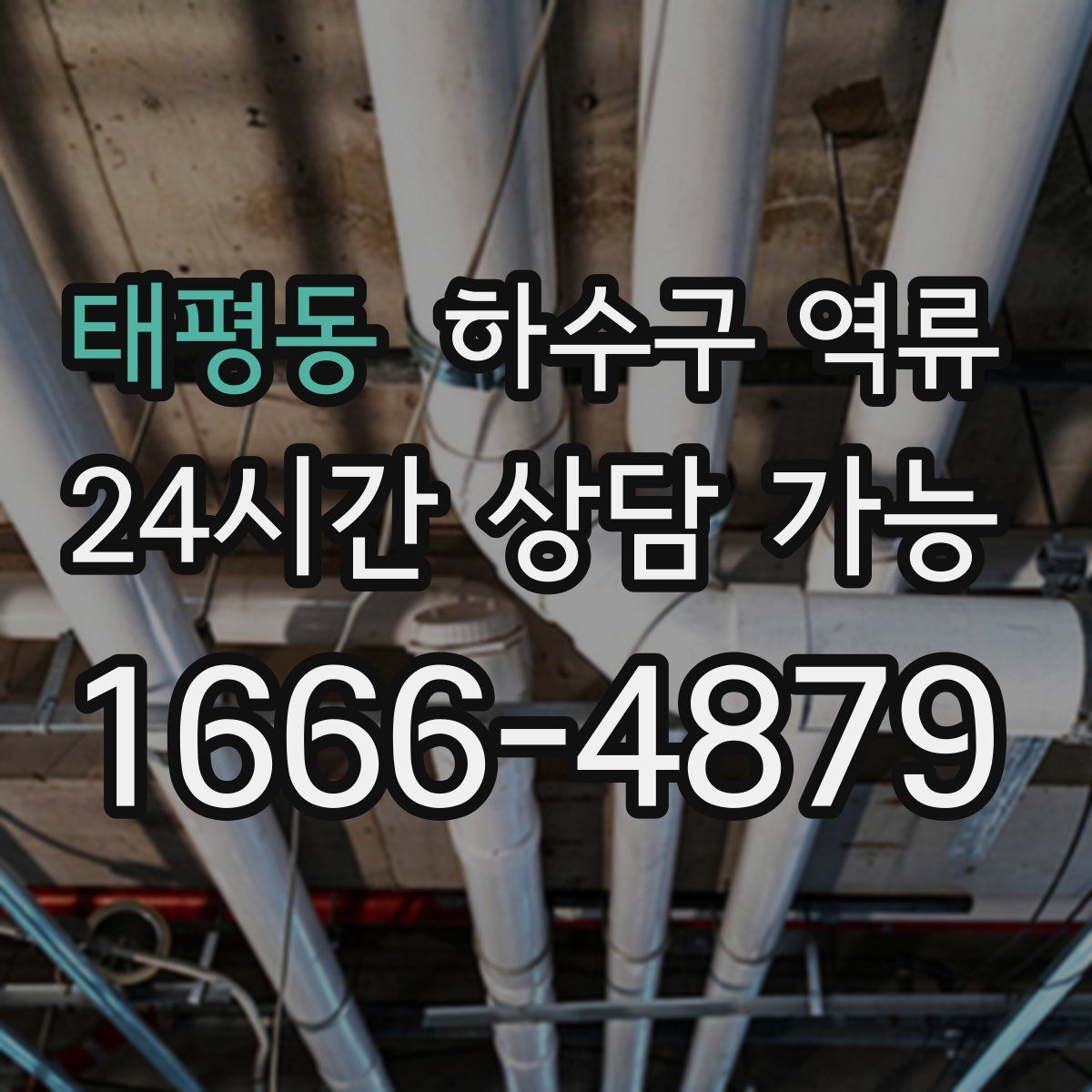 태평동 하수구 역류