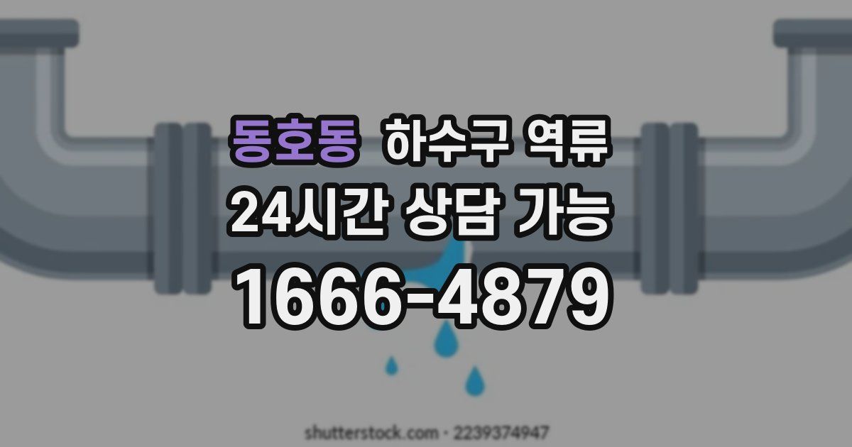 동호동 하수구 역류