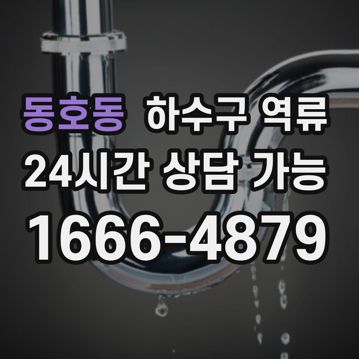 동호동 하수구 역류