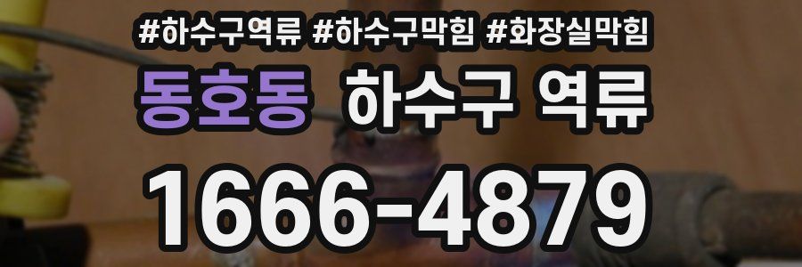 동호동 하수구 역류